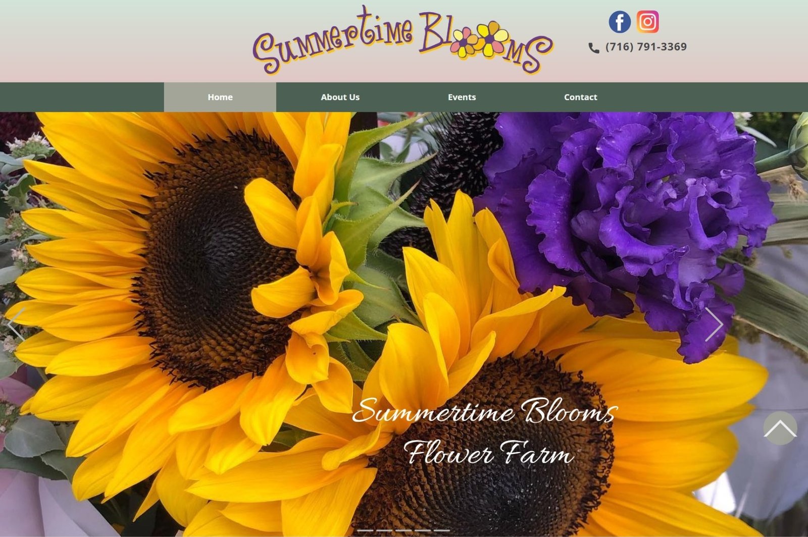 Screenshot of Summertime Blooms website